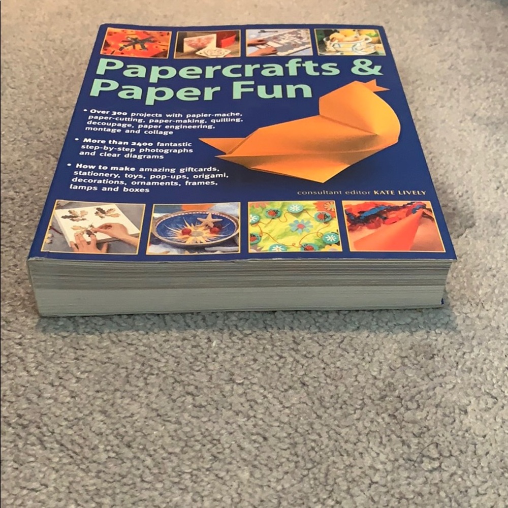 Papercrafts & Paper Fun Book - Picture 2 of 3